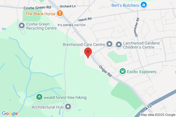Sportswood
