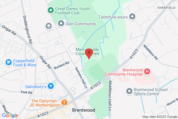 Council For Voluntary Service