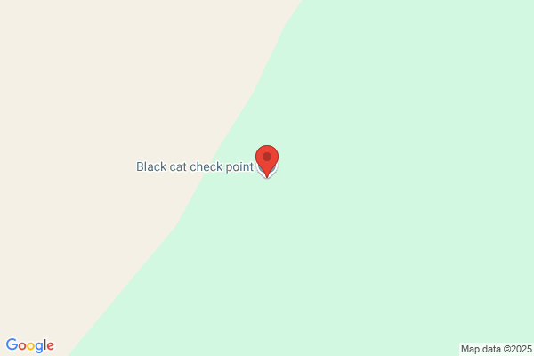 Cat Black