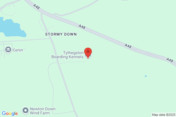 Activity Kennels