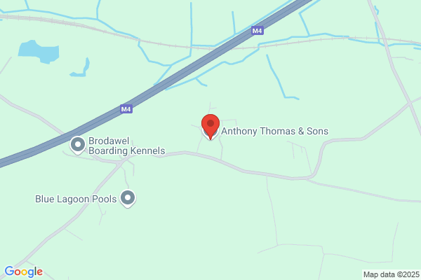 Thomas Anthony & Sons