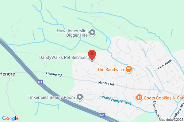 DandyWalks Pet Services