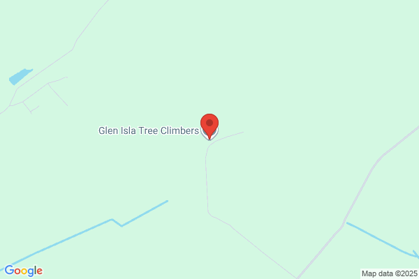 Glen Isla Tree Climbers