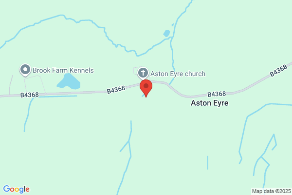 P A Anson