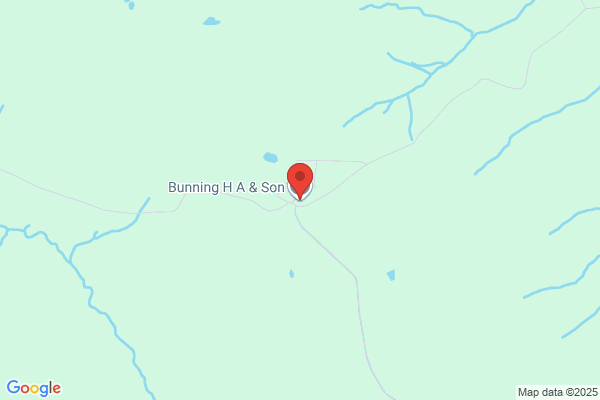 H A Bunning & Son