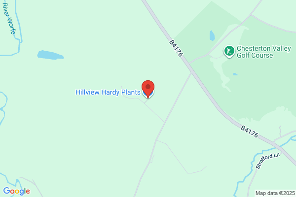 Hillview Hardy Plants