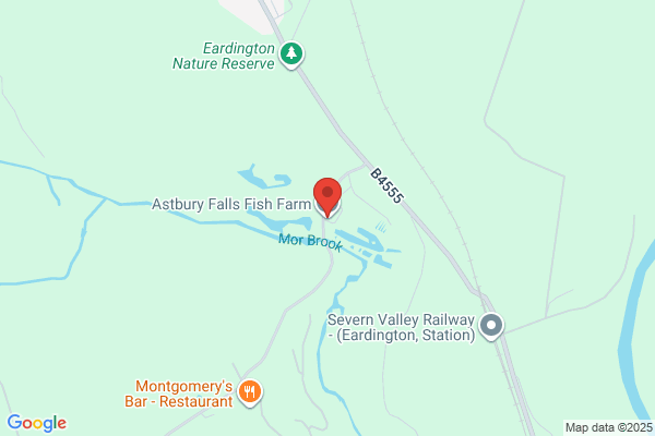 Astbury Falls