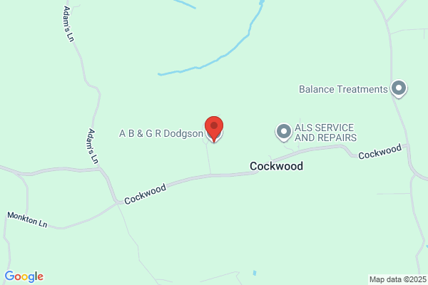 A B Dodgson