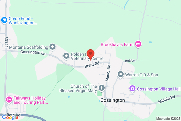 Bridgwater Felt Roofing