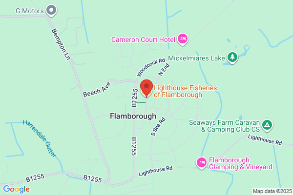 The Lighthouse Fisheries