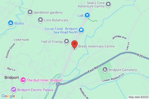 Bredy Veterinary Centre