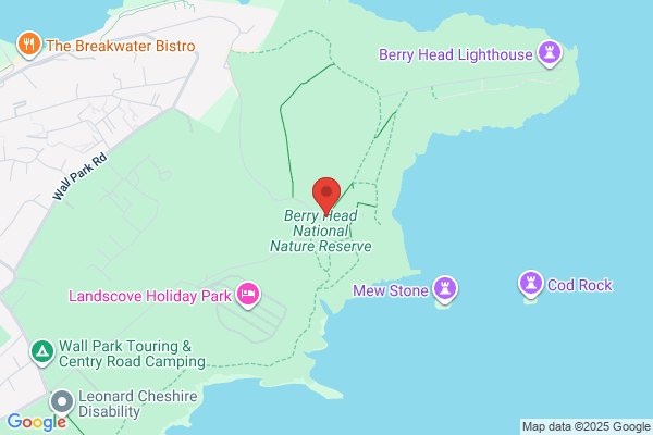 Berry Head Garage