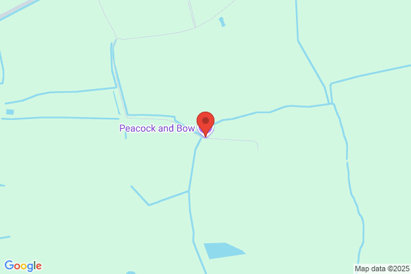 Peacock and Bow