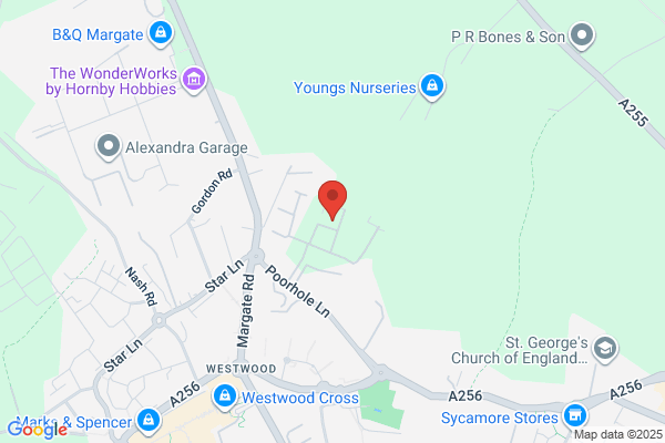 A1 Cleaning Services (South)