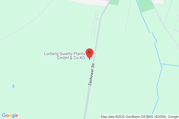 Robert A Lorberg & Co