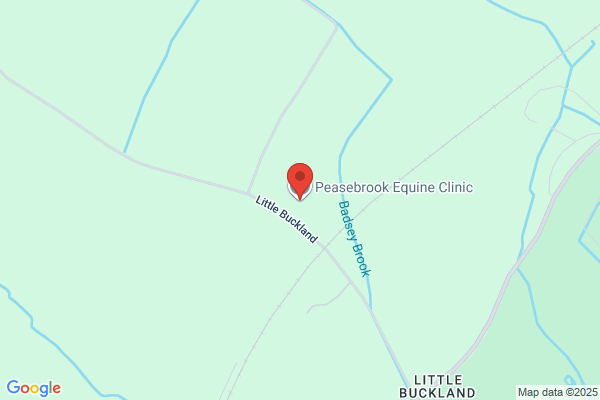 Peasebrook Equine Clinic