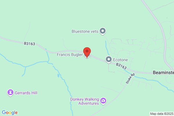 Francis Bugler Ltd