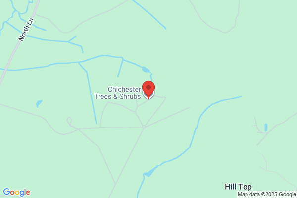 Chichester Trees & Shrubs