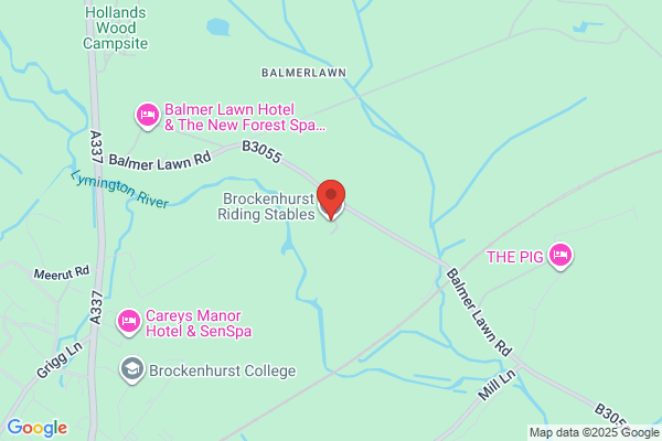 New Forest Equestrian Centre