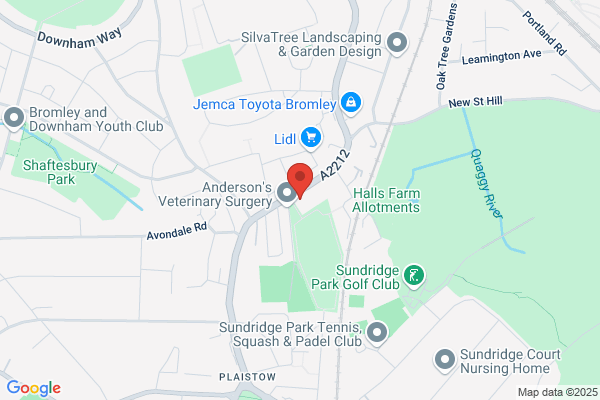 Sundridge Park Working Mens Club & Institute