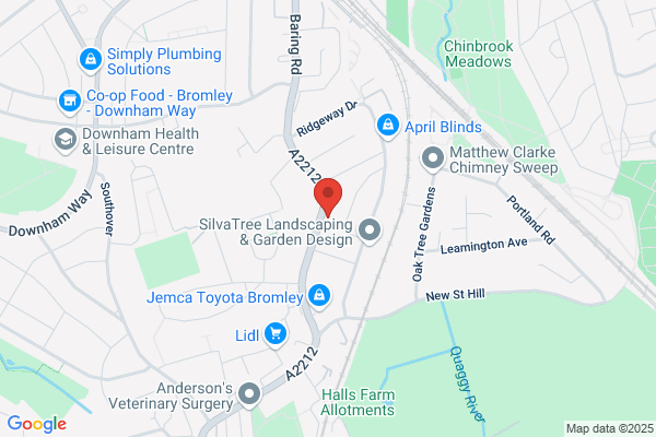 BICS Development Ltd