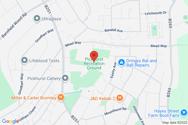 Pickhurst Electronics