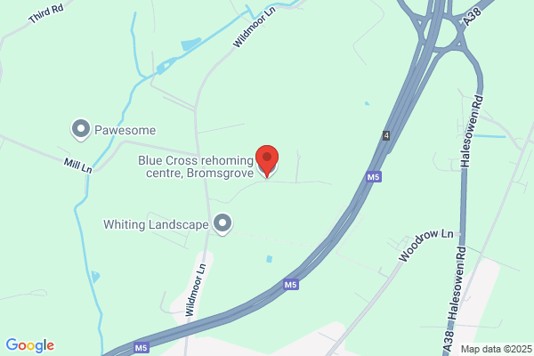 Crowsmill Cat Kennels
