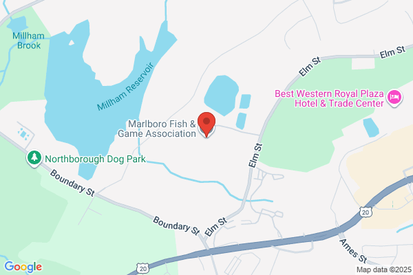 Marlborough Fisheries