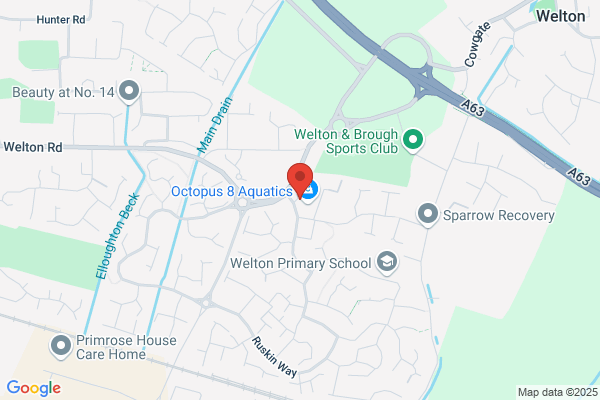 Leila Ives Mortgage & Protection Service