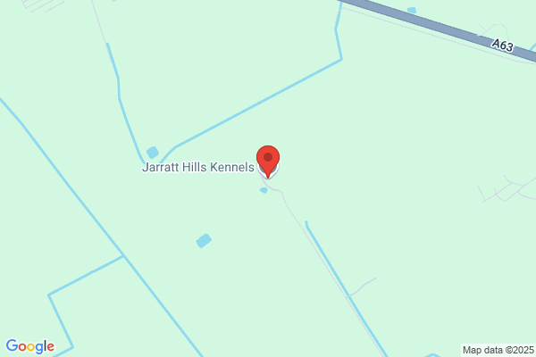 Jarratt Hills Kennels & Cattery