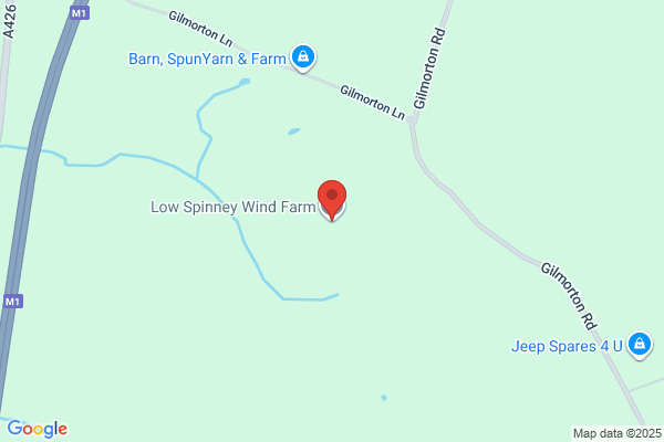Five Winds Pine
