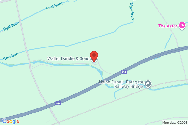 Walter Dandie & Sons
