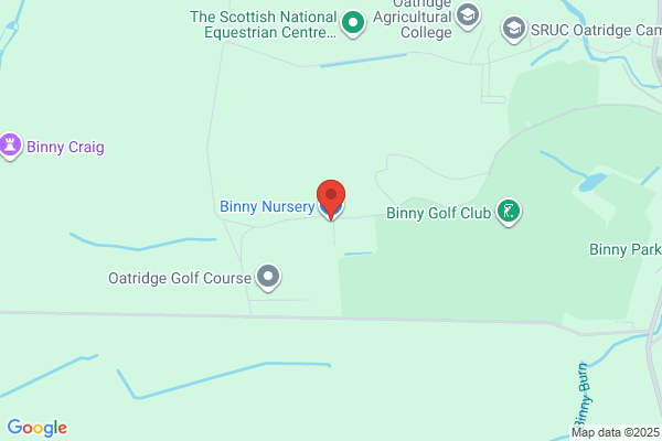Binny Plants