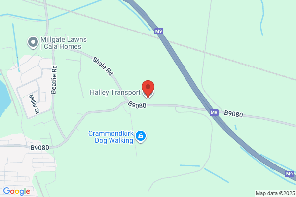 Halley Removals