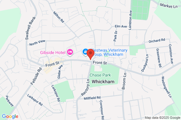 Village Dental Practice