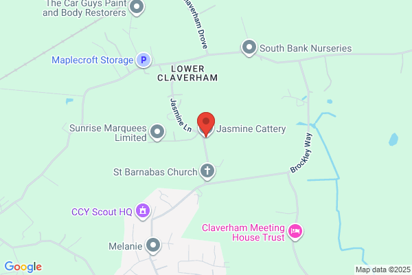 Tickenham Cattery