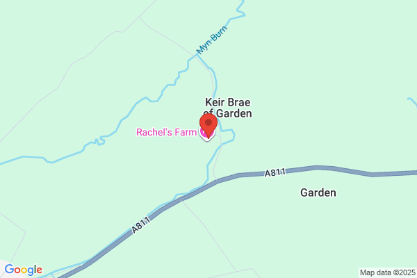 The Scottish Connection