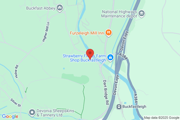 Buckfastleigh Commercial Ltd