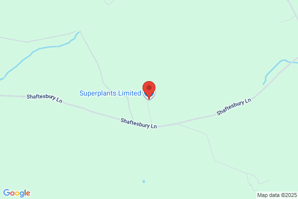 Superplants Ltd