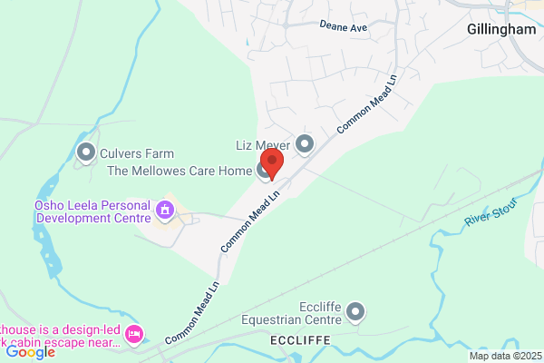 The Mellowes Care Home - Bupa