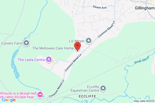 The Mellowes Nursing Home
