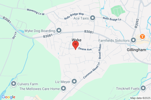 Wyke Primary School