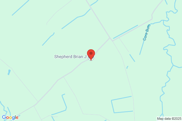 Brian J Shepherd