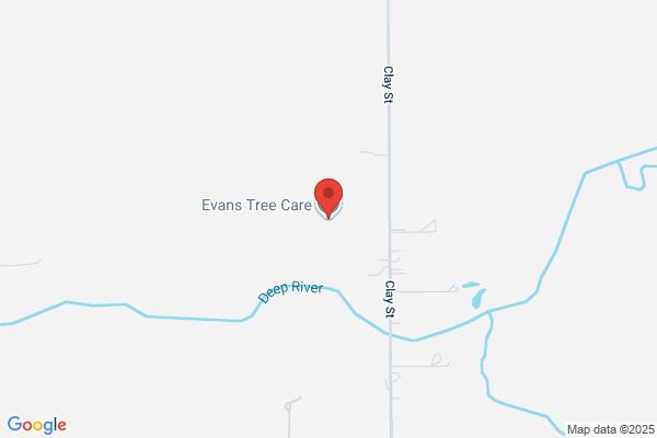 Evan's Tree Care