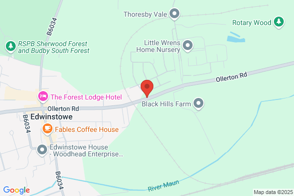 David Wilson Homes - Thoresby Vale