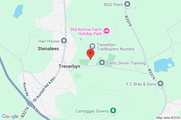 Treverbyn C P School