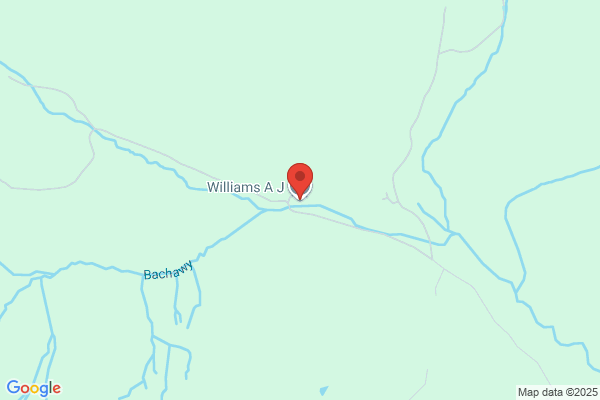 A J Williams