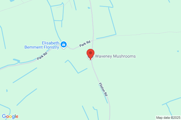 Waveney Mushrooms
