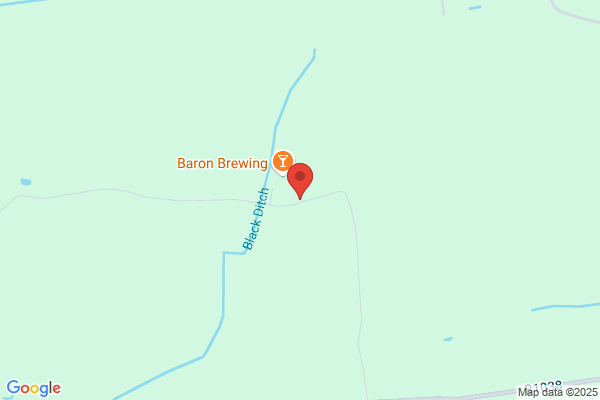 H T Baron