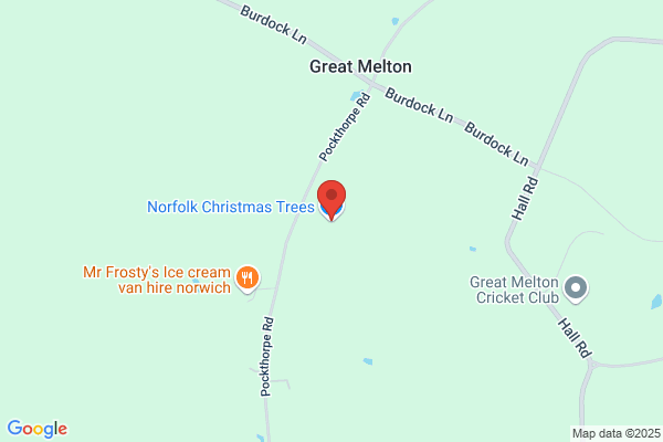 Norfolk Christmas Trees Ltd